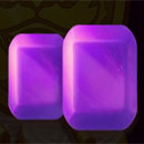 Lion Coins Symbol Purple